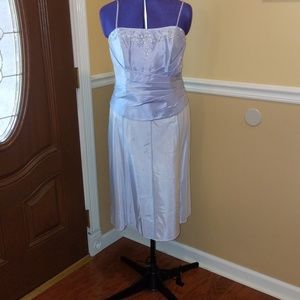 Womans David's Bridal Lavender formal wear Sz 10